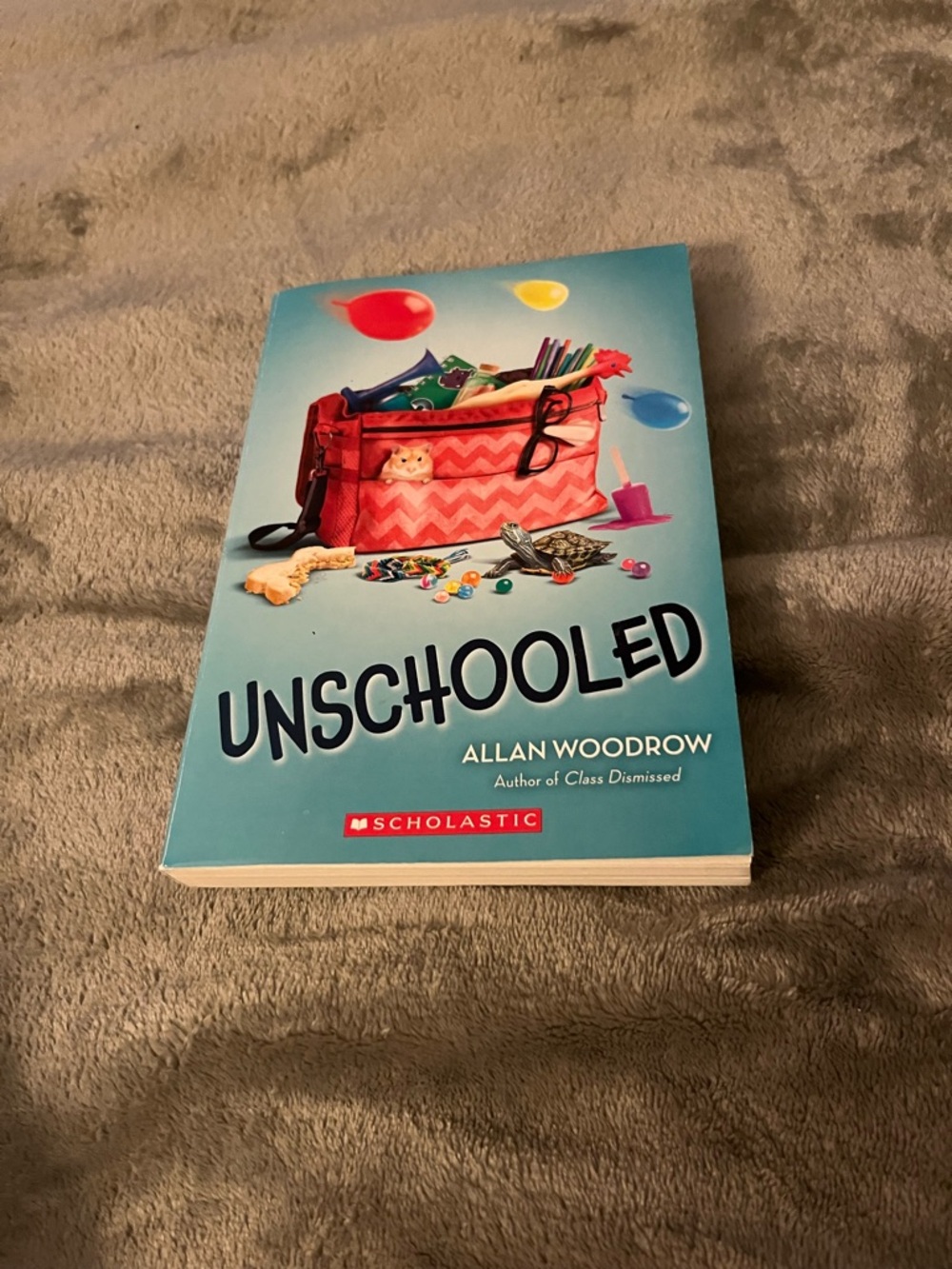 Unschooled by Allan Woodrow Paperback Scholastic Kids Book Grade 4–6